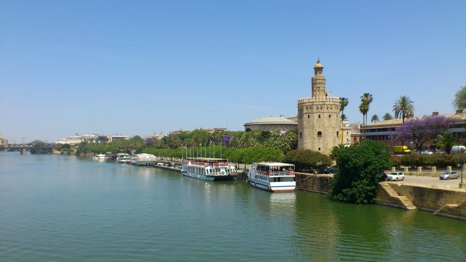 From Costa del Sol & Malaga: Seville Day Trip - Giralda and the Almohad minaret connection