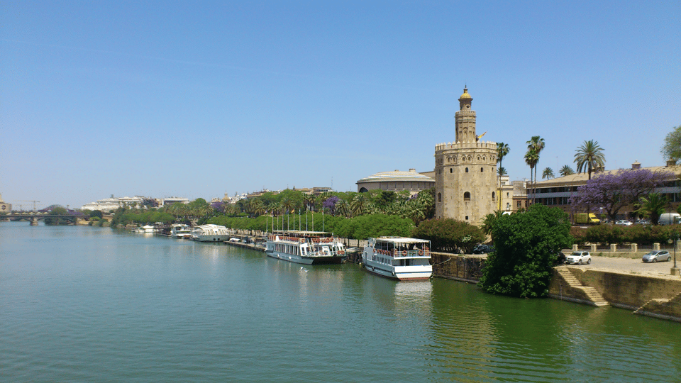 From Costa del Sol & Malaga: Seville Day Trip - Price and value: Is $101 reasonable for this package?
