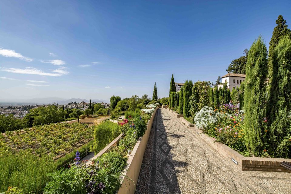 From Costa del Sol or Malaga: Granada and Alhambra Tour - Mirador de San Nicolás: Getting the Alhambra View Without Guesswork