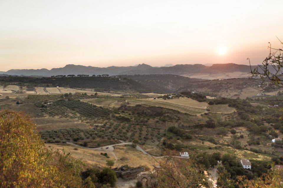 From Costa del Sol: Ronda Village Tour w/ Maestranza Ticket - Panoramic Coach Ride: Getting Oriented Fast
