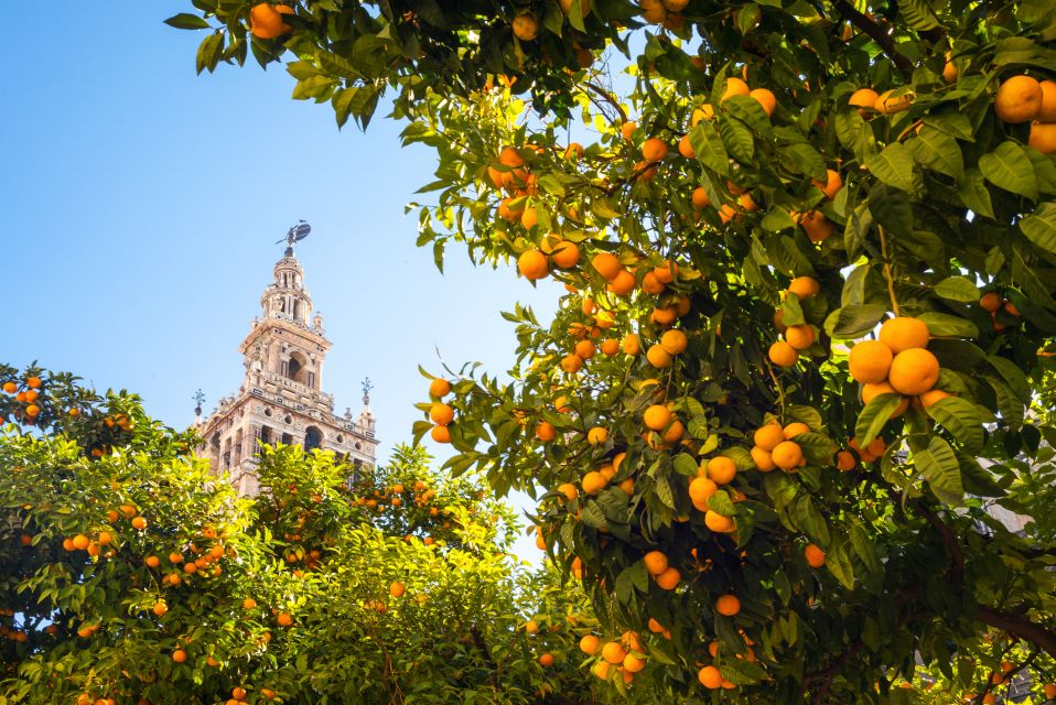 From Costa del Sol: Seville Day Trip - Arrival views and the Guadalquivir river route: Seville’s backbone