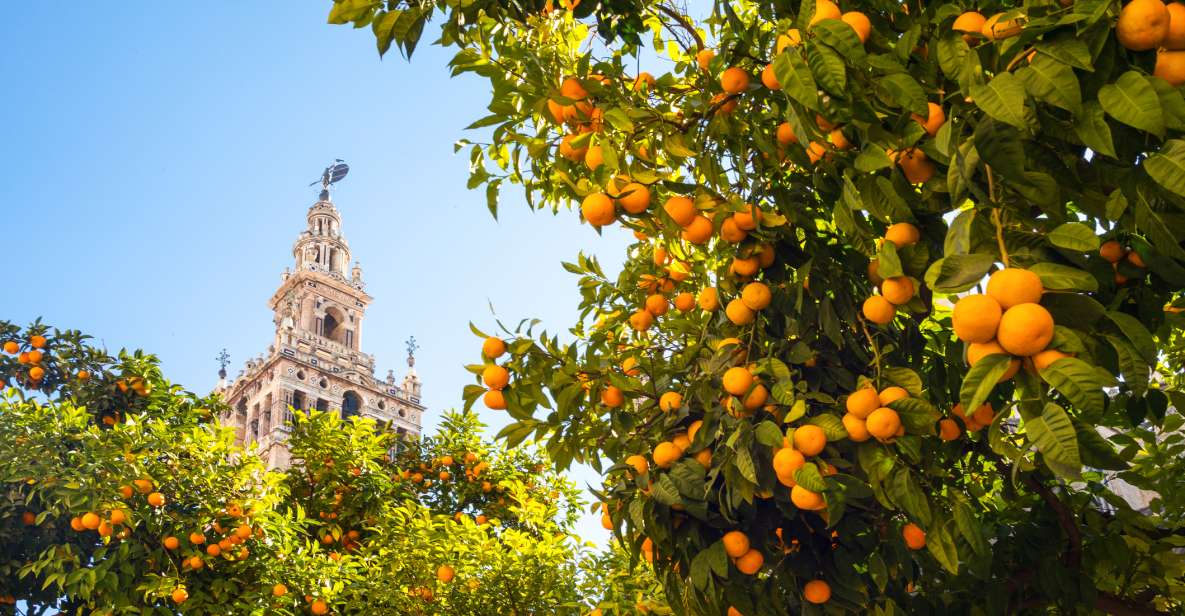 From Costa del Sol: Seville Day Trip - Plaza de la Encarnación and Las Setas: the modern counterpoint to old Seville