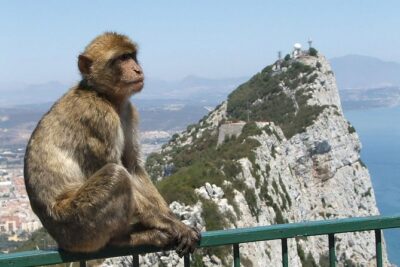 From Costa del Sol: The Gibraltar classic Rock tour - Key Points at a Glance