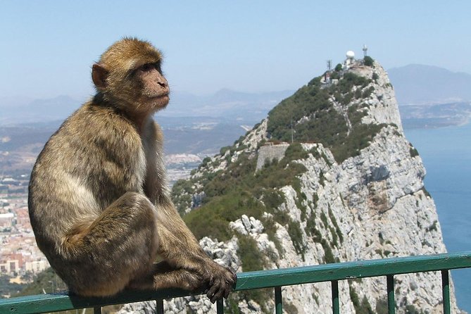 From Costa del Sol: The Gibraltar classic Rock tour - Key Points at a Glance