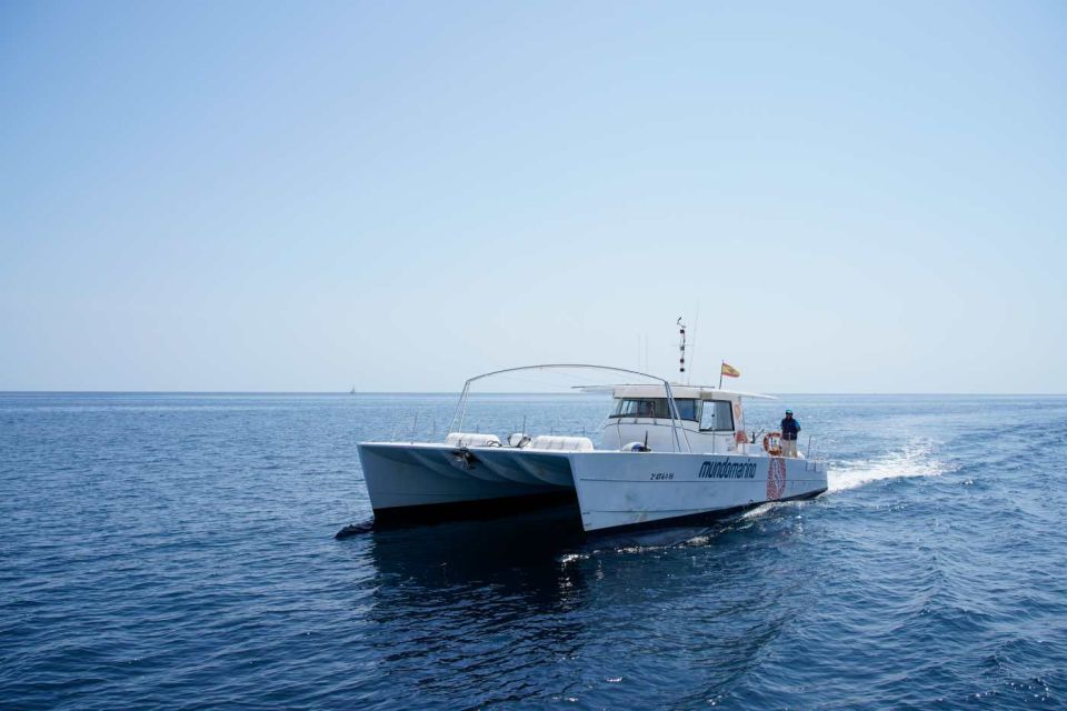 From Denia or Javea: 3 Cape Boat Excursion with Snorkeling - Who This Cruise Suits Best