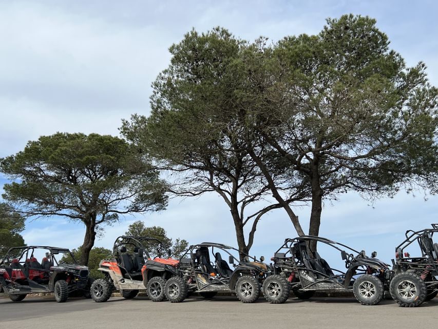 From East Mallorca: Guided Beach and Mountain Buggy Tour - What’s Included in the Price (and What Isn’t)