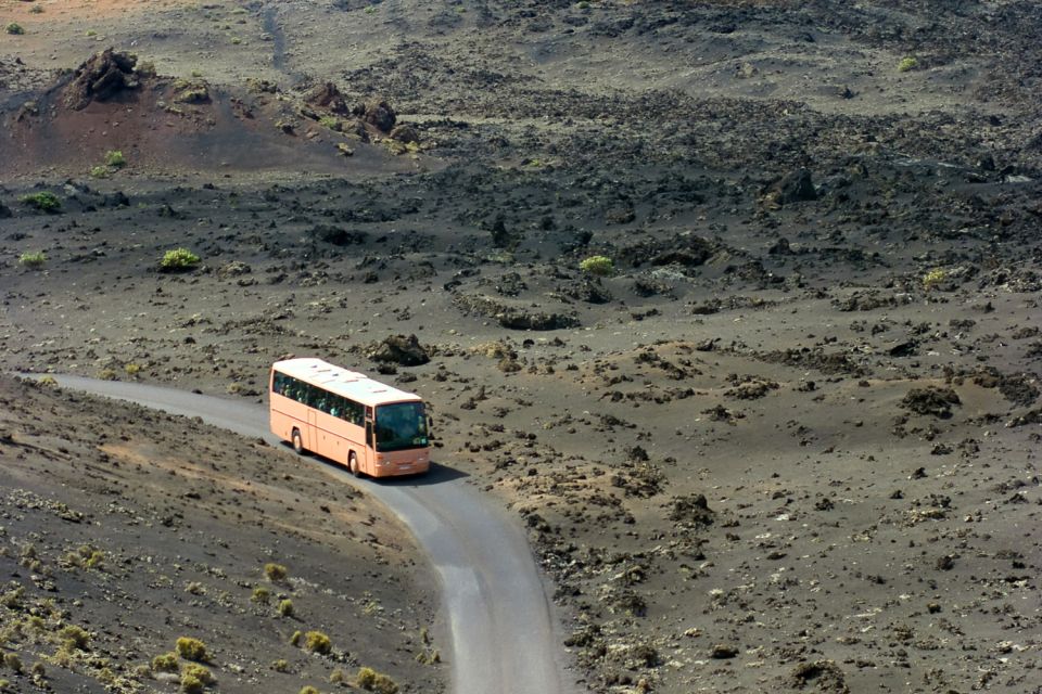 From Fuerteventura: Lanzarote Volcano and Wine Region Tour - La Geria Wine Region: Circular Vineyards and a Fast Taste