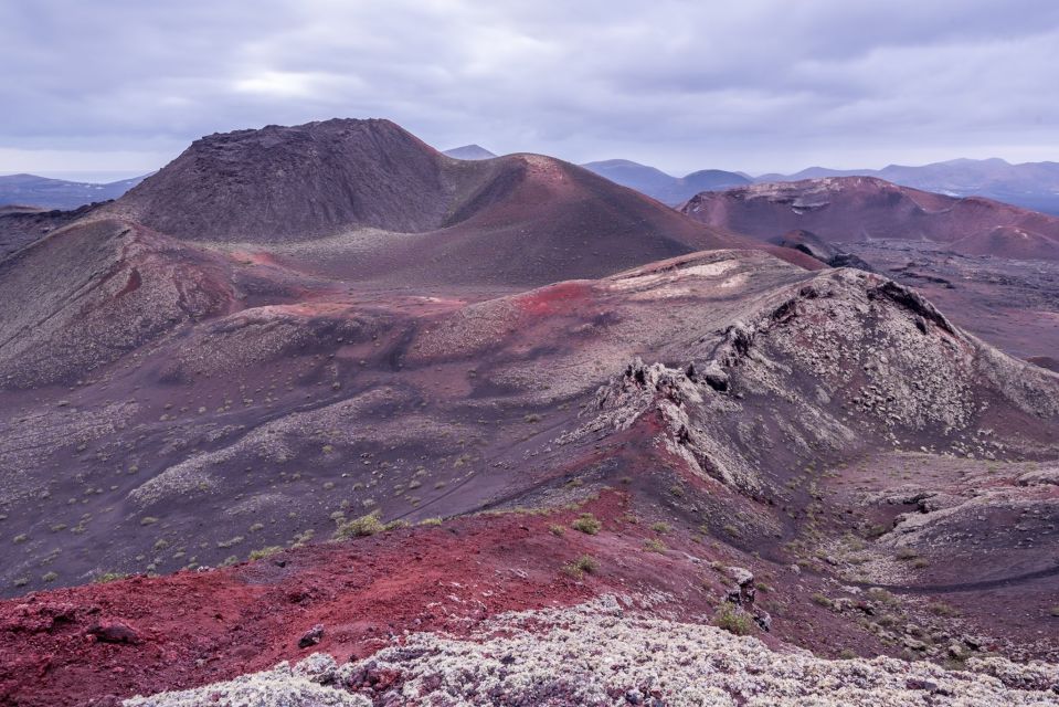 From Fuerteventura: Lanzarote Volcano and Wine Region Tour - Charco de los Clicos (El Lago Verde): The Best Color Break