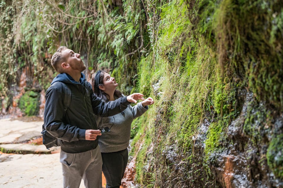From Granada: Alpujarra Villages Guided Day Tour - Key Highlights You’ll Actually Remember