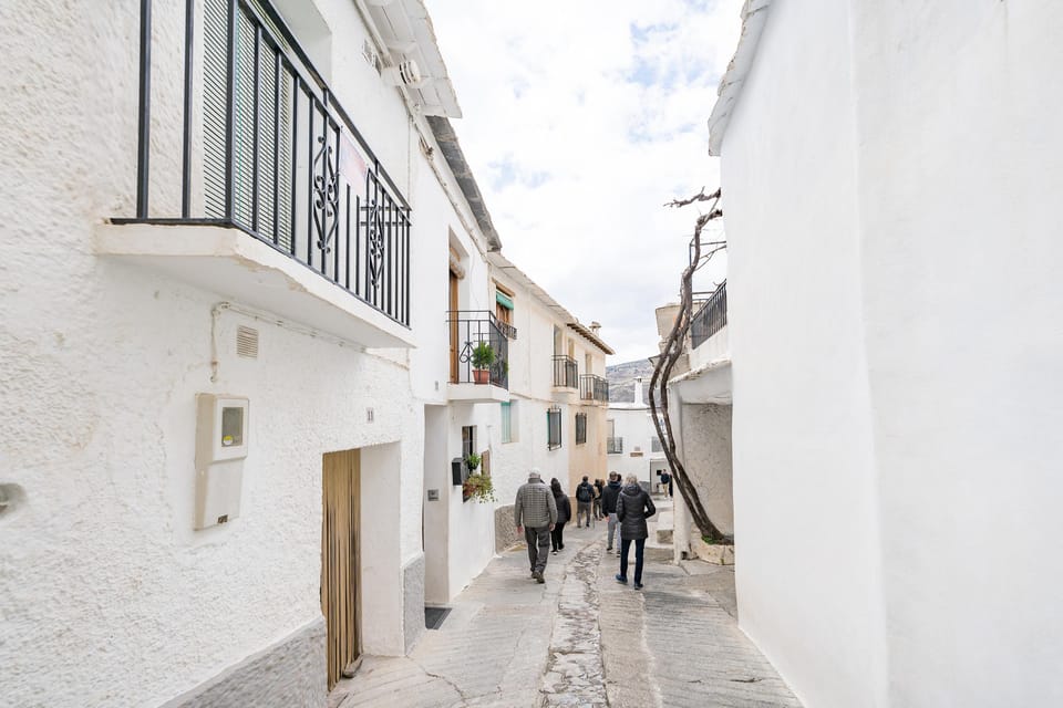 From Granada: Alpujarra Villages Guided Day Tour - Price and Value: Is $108 Fair for This Much Mountain Time?