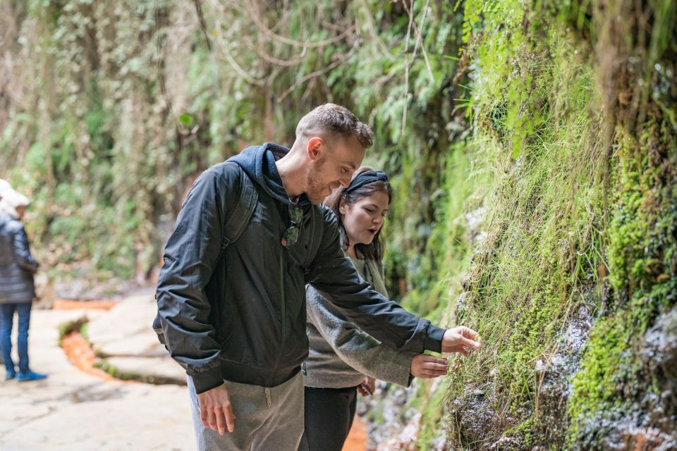 From Granada: Alpujarra Villages Guided Day Tour - Fuente Agria and the Chorrerón Walk: Water, Mineral Springs, and Real Footing