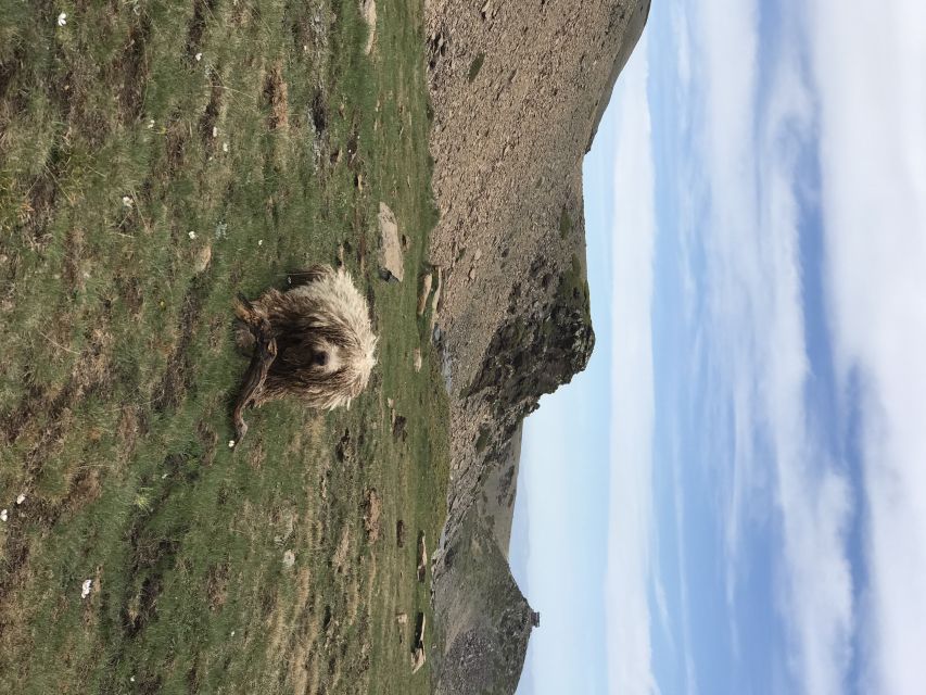 From Granada: High Sierra Nevada hiking experience - Small-group comfort: pace, group dynamics, and your day flow