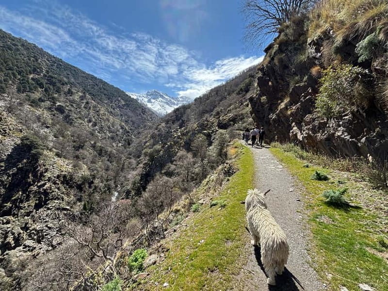 From Granada: High Sierra Nevada hiking experience - Getting to the Sierra Nevada: Granada to the 2,500-meter starting altitude