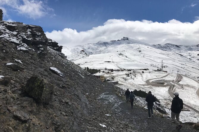 From Granada: Sierra Nevada Safari tour up to 2500 meters high - Price and Value: What $102.79 Buys You in the Real World