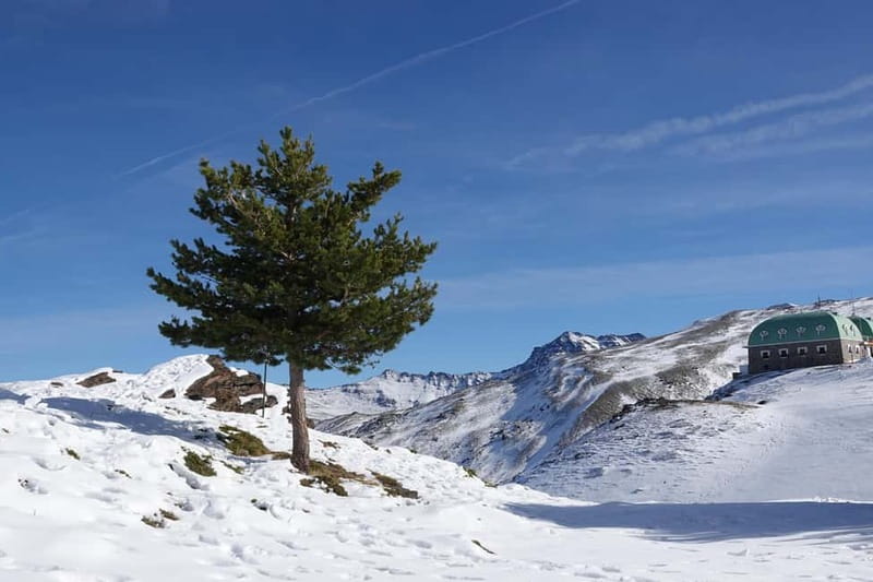 From Granada: Sierra Nevada Safari up to 2500 meters high - Gold Roman Mine of Cenes de la Vega: where water meets mining history