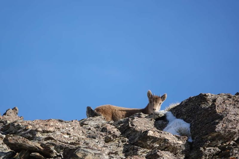 From Granada: Sierra Nevada Safari up to 2500 meters high - Cahorros de Monachil: a canyon carved by water