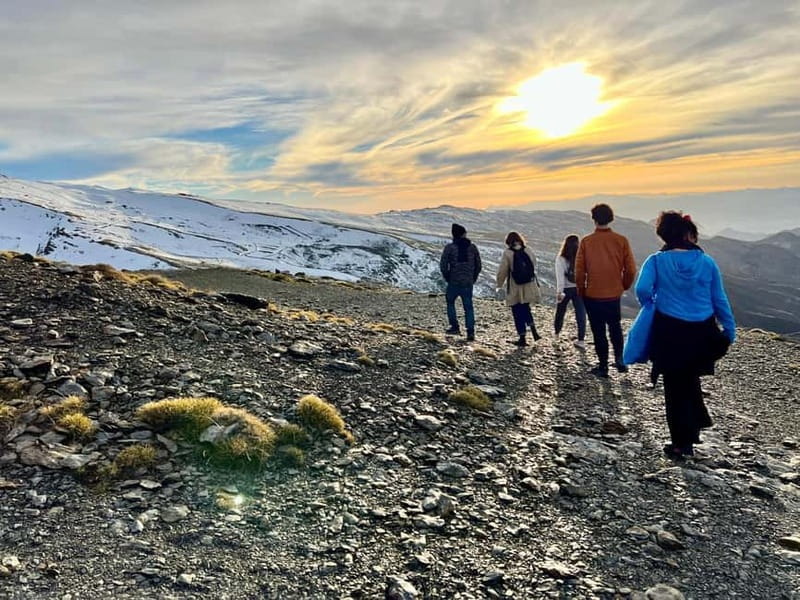 From Granada: Sierra Nevada Safari up to 2500 meters high - The panoramic hut at 2500m: drink, views, and your 1.5-hour window