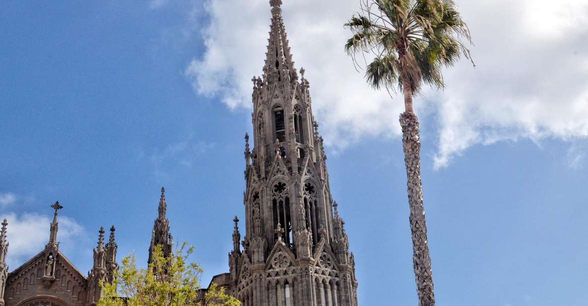 From Las Palmas: Full-Day Tour of the North - A Day in Northern Gran Canaria: What the 7.5 Hours Really Feel Like