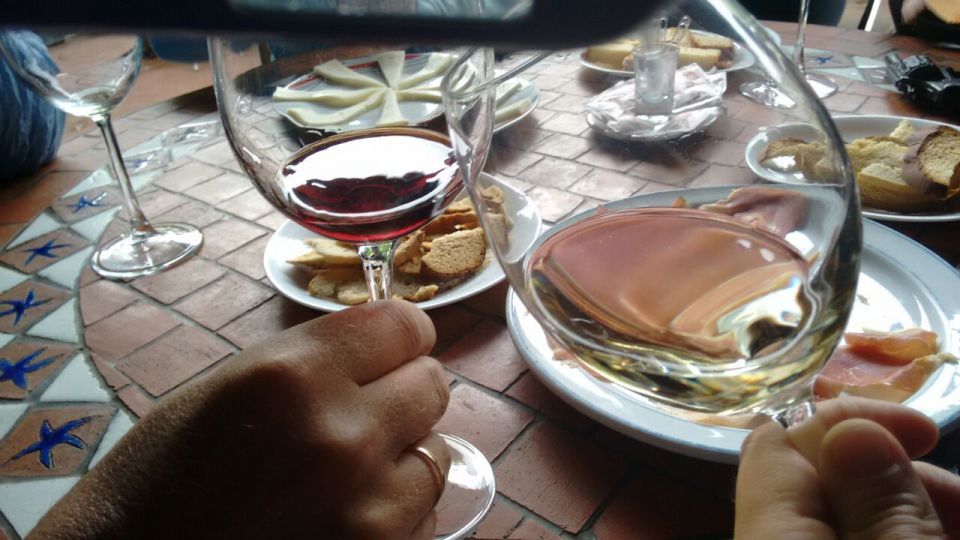 From Las Palmas: Full-Day Tour of the North - Agaete’s Coffee Plantation: Arabyca Typica and the Berrazales Valley