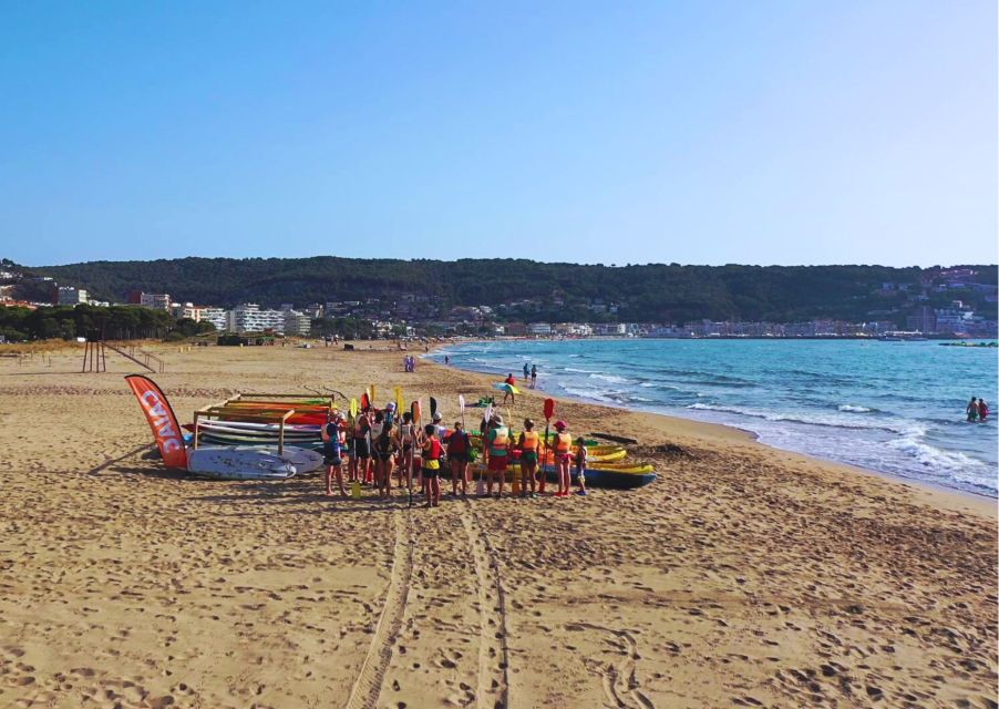 From L'Estartit: Sea Kayaking Tour to the Medes Islands - The Marine Reserve Swim Stop: Seeing Sea Life Up Close