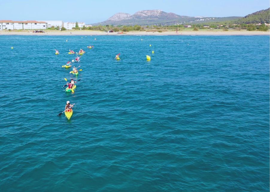 From L'Estartit: Sea Kayaking Tour to the Medes Islands - Who This Tour Is Best For (and Who Should Skip)