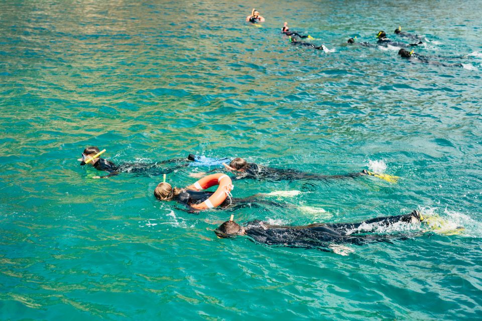 From L’Estartit: Snorkeling Trip to the Medes Islands - Check-In at Medaqua: start with the right towel and attitude