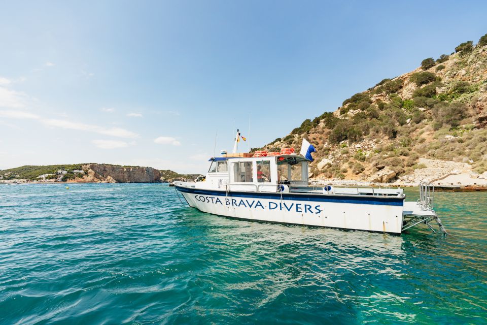 From L’Estartit: Snorkeling Trip to the Medes Islands - Snorkeling in the Medes Islands Natural Marine Reserve: how the 50 minutes works
