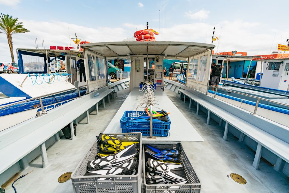 From L’Estartit: Snorkeling Trip to the Medes Islands - Price and value: is $45 fair for a protected marine reserve trip?