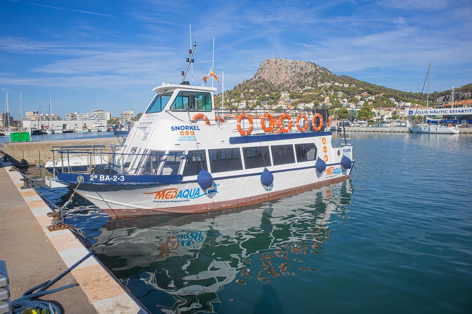 From L’Estartit: Snorkeling Trip to the Medes Islands - Who should book this Medes Islands snorkeling trip (and who should skip it)