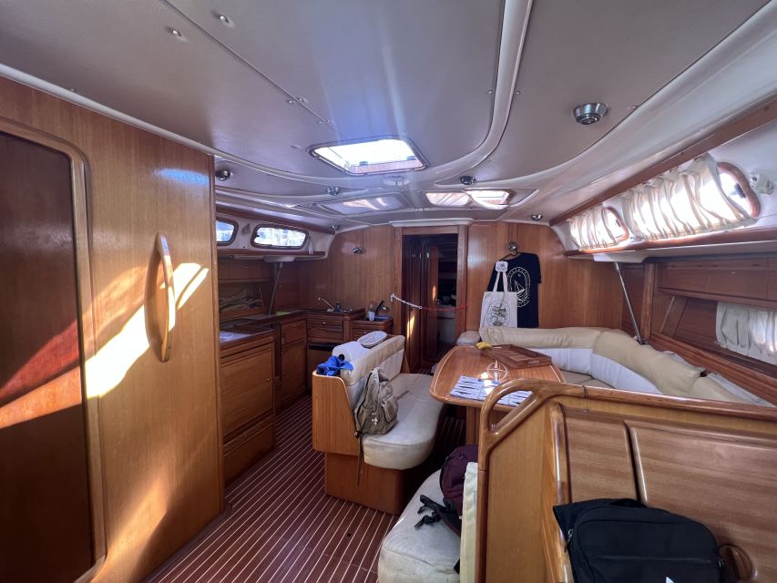 From Los Gigantes: Whale Watching Sailboat Cruise - The 1.5-Hour Wildlife Viewing Window: Pilot Whales, Dolphins, and More