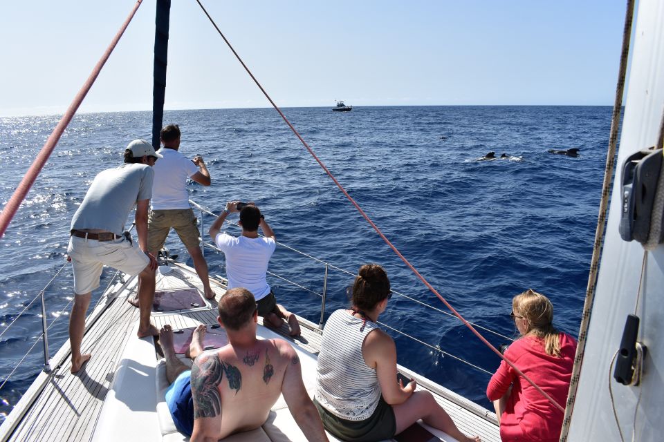 From Los Gigantes: Whale Watching Sailboat Cruise - Homemade Tapas Onboard: Food After the Water (Not Before)