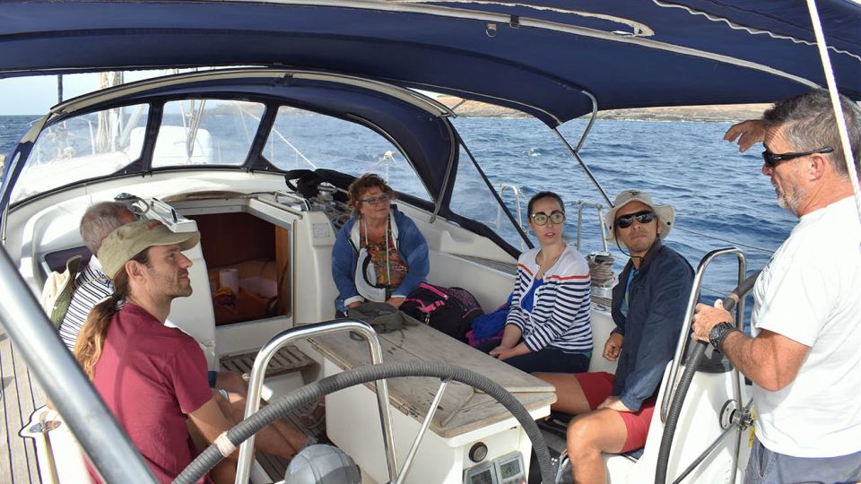 From Los Gigantes: Whale Watching Sailboat Cruise - Conservation Rules That Actually Affect Your Day