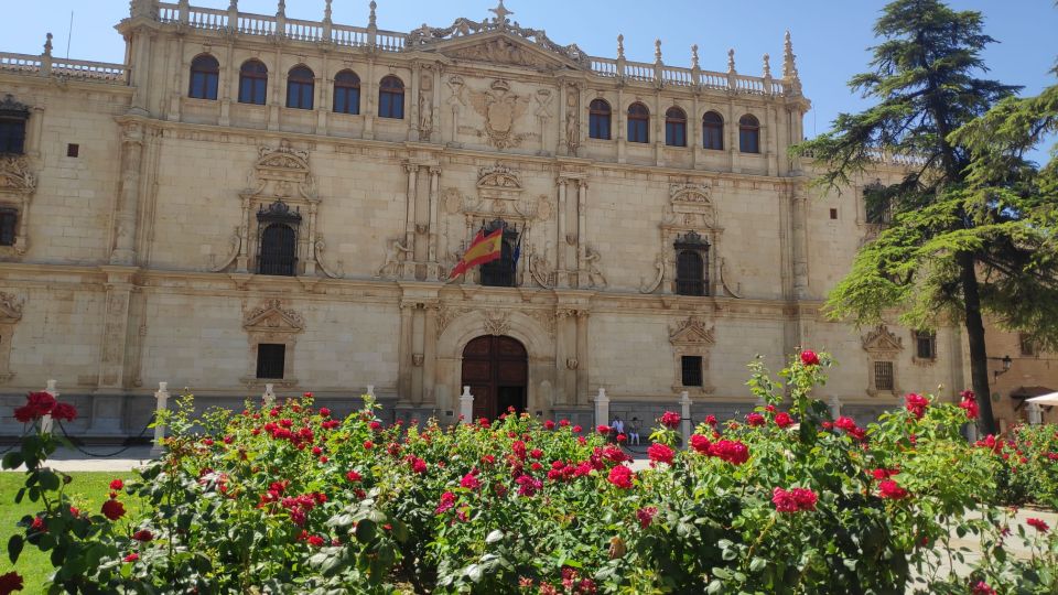 From Madrid: Alcalá de Henares & Cervantes Museum Day Trip - Price and value: what $55 covers (and what it doesn’t)