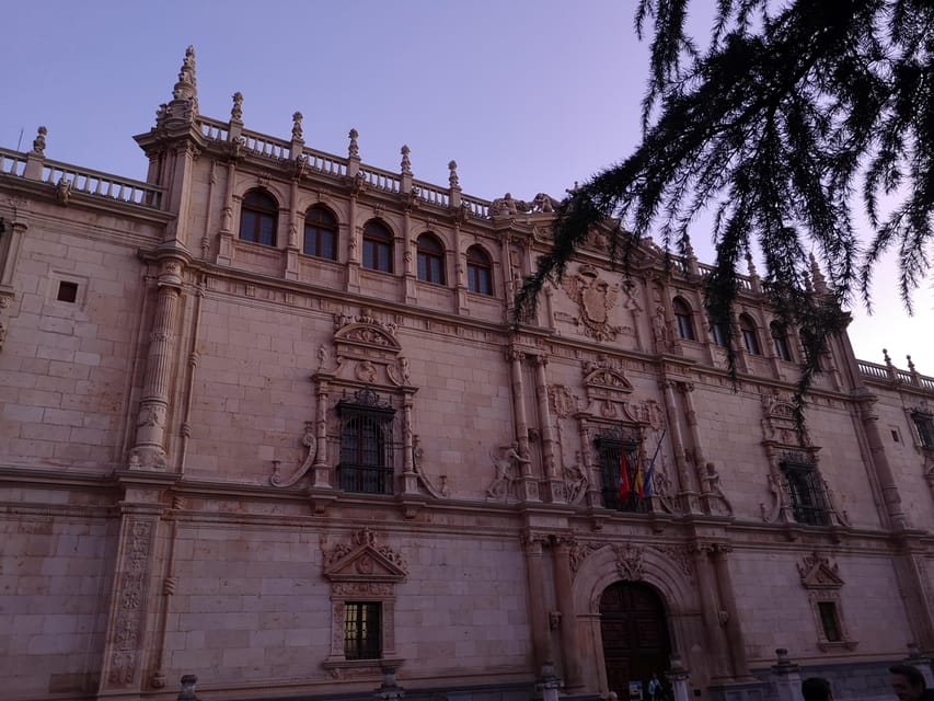 From Madrid: Alcalá de Henares, Winery Tour & Wine Tasting - The winery visit: cellar tour plus process, not just pouring