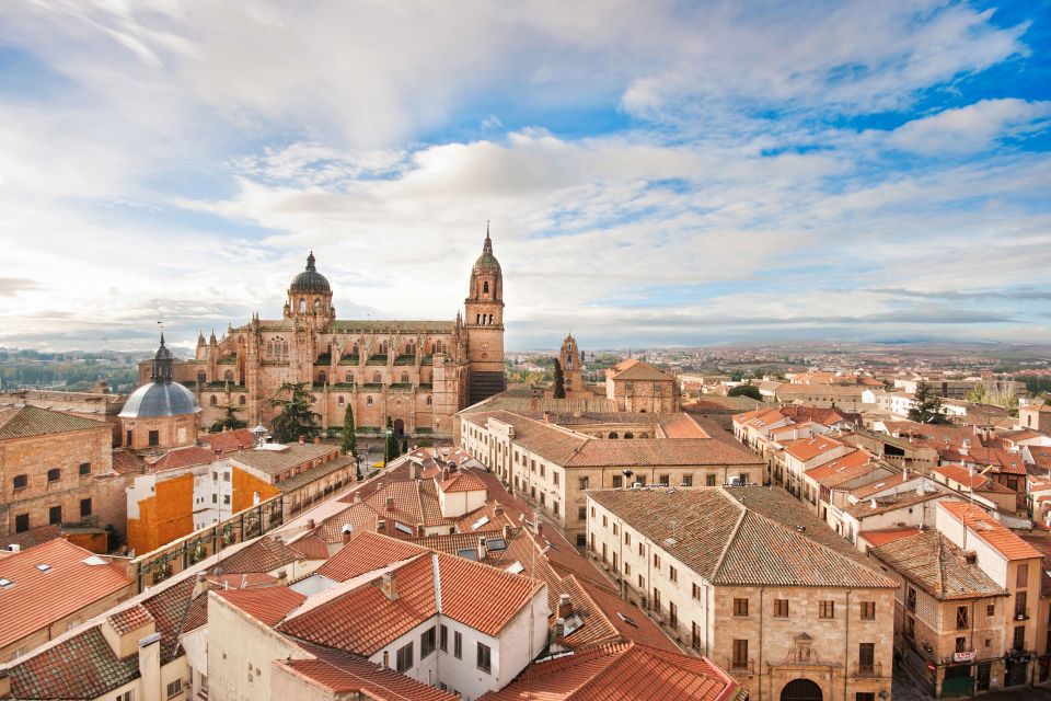 From Madrid: Ávila and Salamanca Guided Day Trip - Who this day trip fits best