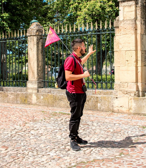 From Madrid: Ávila and Segovia Guided Day Trip - Who This Day Trip Fits Best