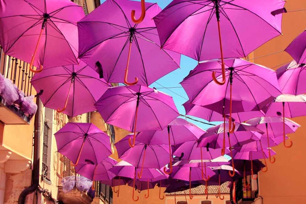 From Madrid: Day Trip to Brihuega Lavender Fields - Hotel Mediodía Pickup and the Calm Coach Ride Out
