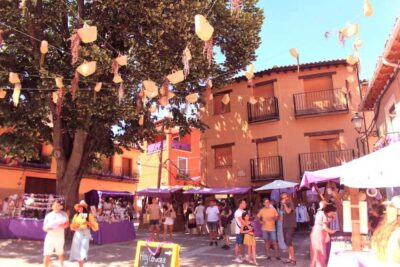 From Madrid: Day Trip to Brihuega Lavender Fields - Brihuega First: Medieval Walls, a Castle, and Purple Streets