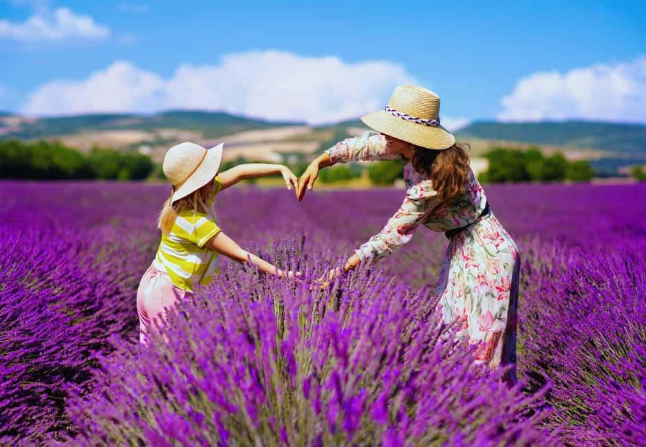 From Madrid: Day Trip to Brihuega Lavender Fields - Should You Book the Brihuega Lavender Day Trip?