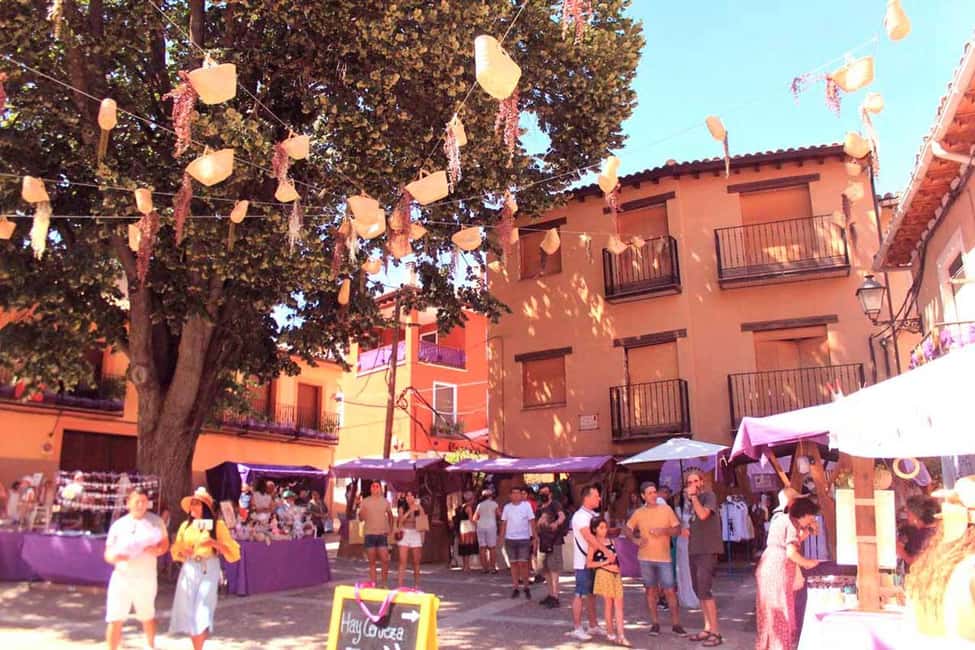 From Madrid: Day Trip to Brihuega Lavender Fields - Brihuega First: Medieval Walls, a Castle, and Purple Streets