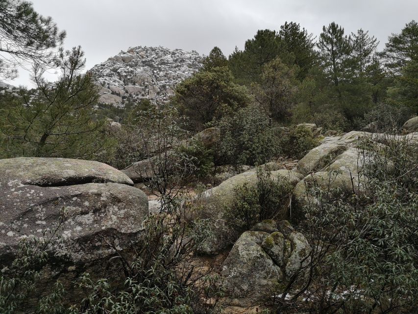 From Madrid: Day Trip to Guadarrama National Park - Who this day trip fits best