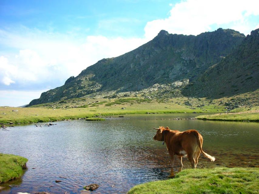 From Madrid: Day Trip to Guadarrama National Park - From Pl. de España to the castle photo stop