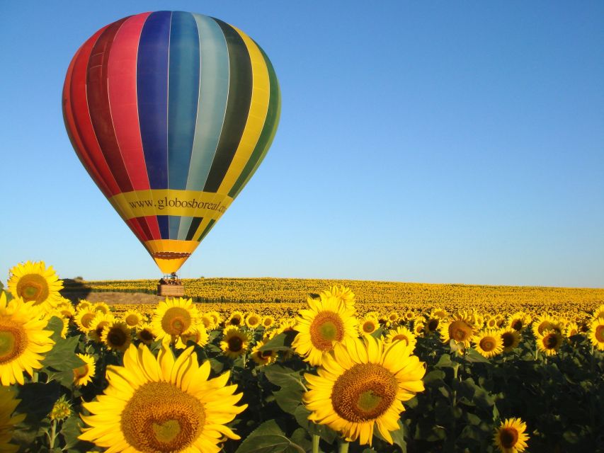 From Madrid: Hot Air Balloon Ride in Segovia with Pickup - Staff and Service: What Makes the Morning Feel Smooth