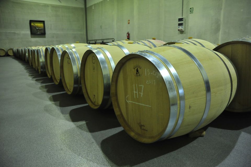 From Madrid: Ribera del Duero Tour of 3 Wineries w/ Tastings - Key Things You’ll Notice on This Ribera del Duero Wine Day