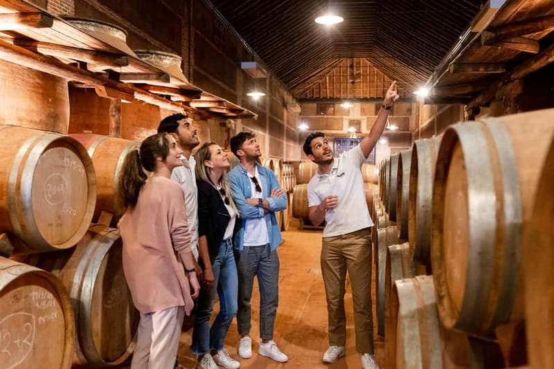 From Madrid: Toledo Guided Tour & Winery Visit with Tasting - Key Highlights You Should Care About