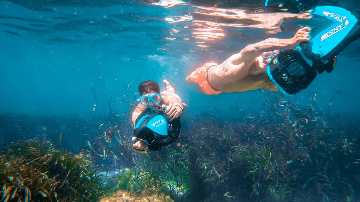 From Magaluf: Palma Bay Sightseeing Cruise with Live Music - Price and value at about $69 for 4 hours with a swim stop