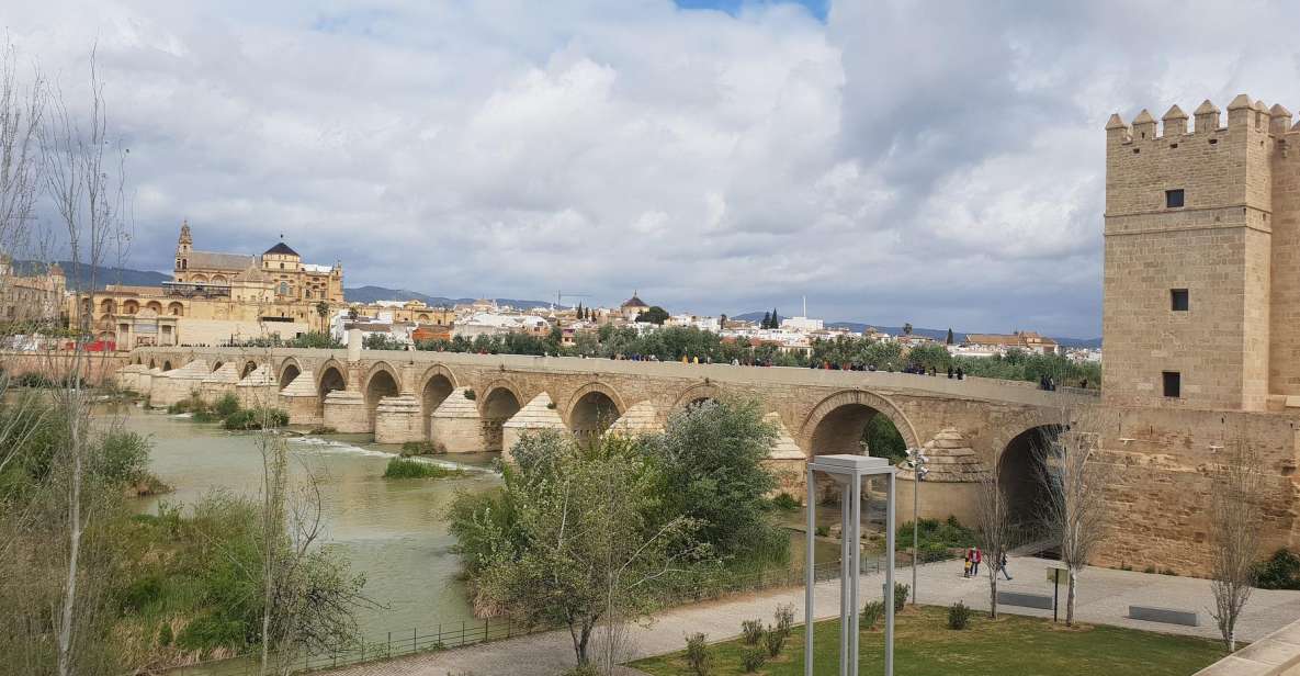 From Malaga and Costa Del Sol: Cordoba Day Trip - Key points to know before you go