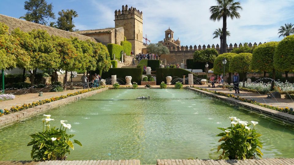 From Malaga and Costa Del Sol: Cordoba Day Trip - The ride into Andalusia: what the guide does before you arrive