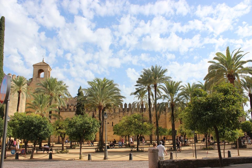From Malaga and Costa Del Sol: Cordoba Day Trip - Mosque-Cathedral and Patio de los Naranjos: the stop you’ll remember