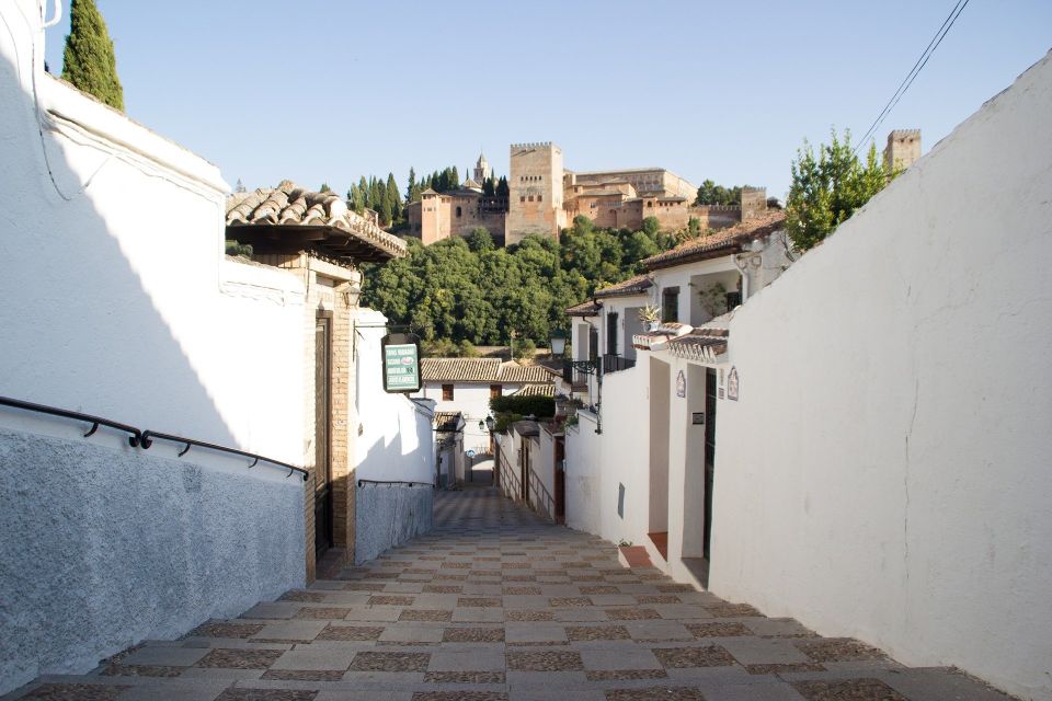 From Malaga and Costa Del Sol: Granada Day Trip - Key things to know before you go